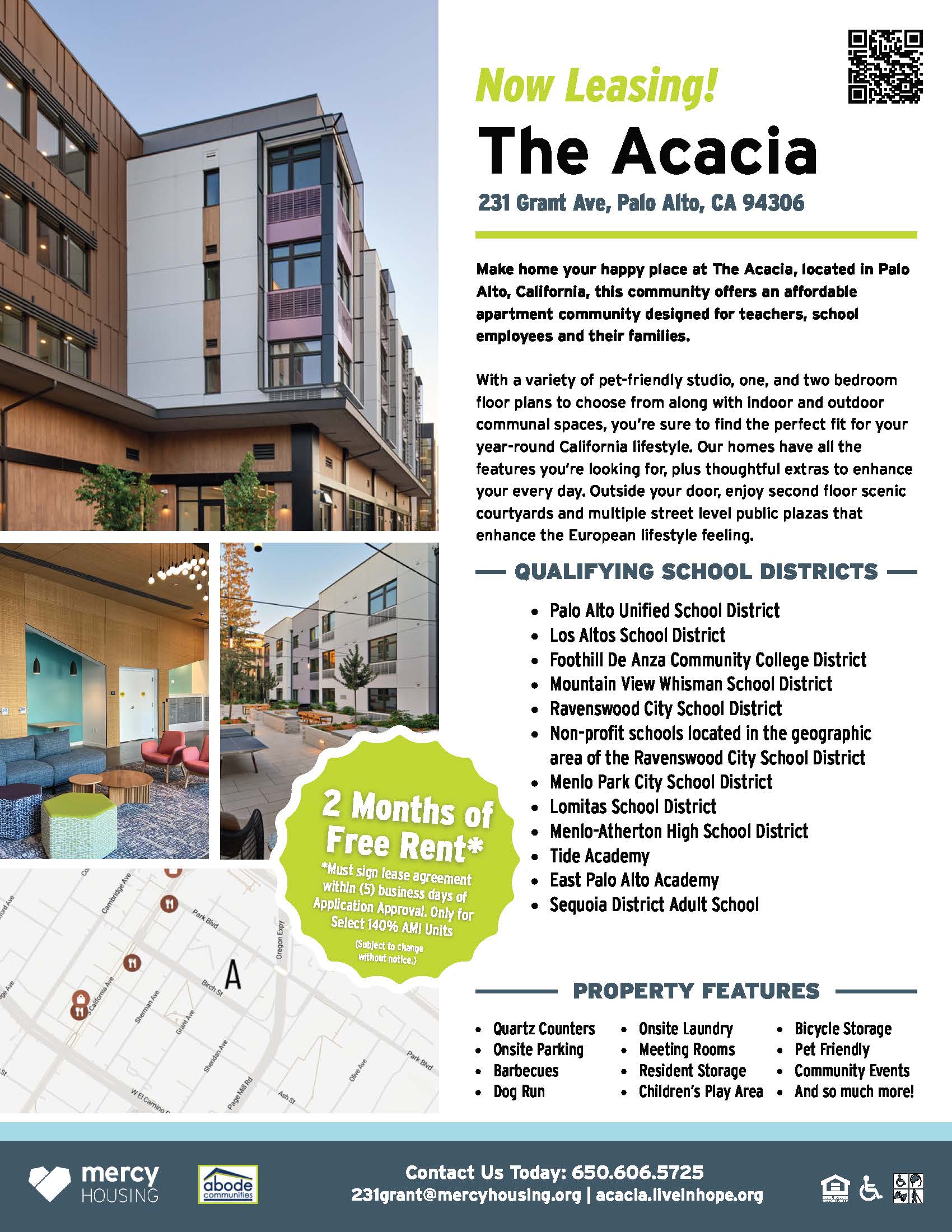 acacia_spring