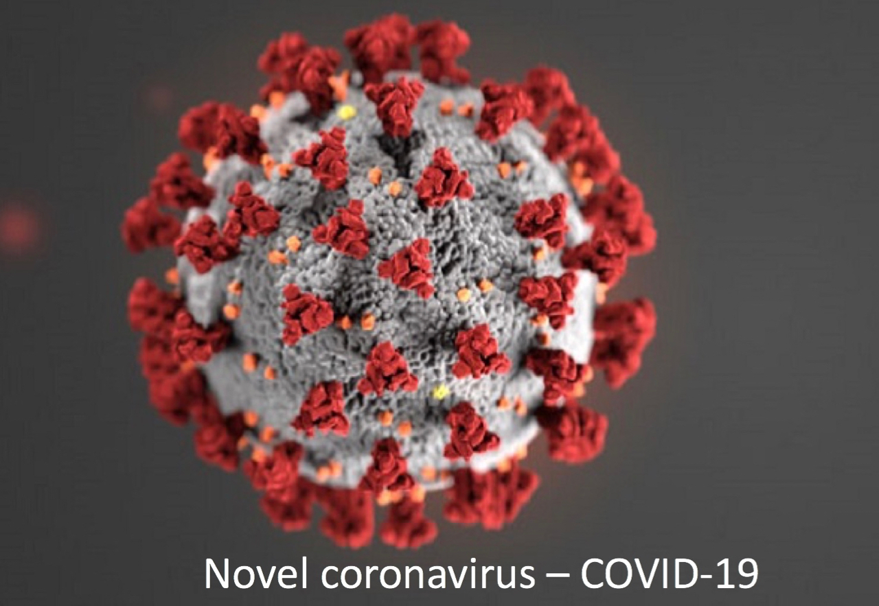 Novel coronavirus