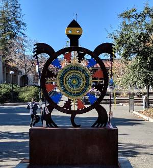 De Anza turtle